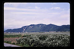 tanSF.D04-07_11()
