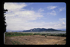tanSF.D04-07_12()