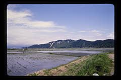 tanSF.D04-07_13()