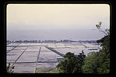 tanSF.D04-07_18()