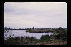 tanSF.D04-07_22()