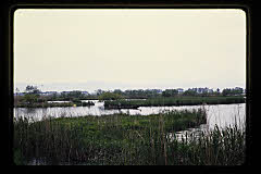 tanSF.D04-07_24()