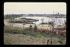 tanSF.D04-07_25()