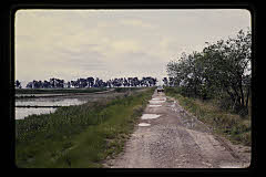 tanSF.D04-07_36()