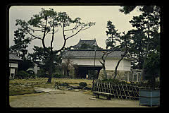 tanSF.D04-11_05()