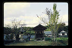 tanSF.D04-11_22()