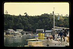 tanSF.D04-11_30()