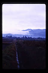 tanSF.D04-12_01()