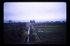 tanSF.D04-12_02()