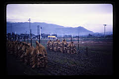 tanSF.D04-12_03()