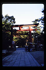 tanSF.D04-12_09()