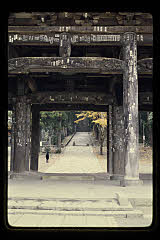 tanSF.D04-13_10()