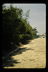 tanSF.D04-15_06()
