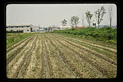 tanSF.D04-15_13()