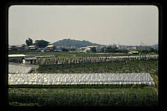 tanSF.D04-15_19()