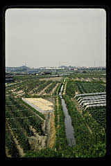 tanSF.D04-15_20()