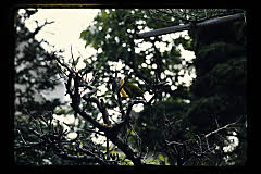 tanSF.D04-19_20()