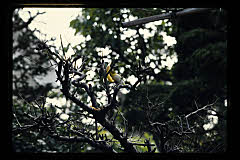 tanSF.D04-19_21()