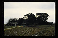 tanSF.D04-19_26()