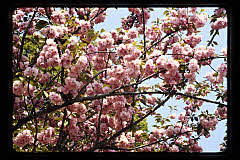 tanSF.D04-20_07()