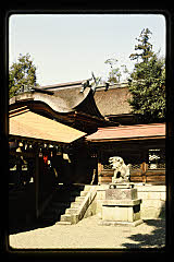 tanSF.D05-01_19()