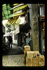 tanSF.D05-01_28()