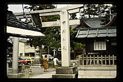 tanSF.D05-01_29()