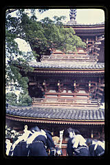 tanSF.D05-02_02()