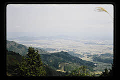 tanSF.D05-05_33()