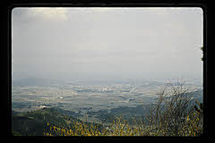 tanSF.D05-05_35()