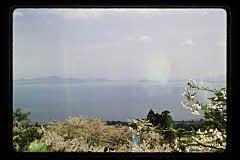 tanSF.D05-06_03()