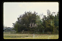tanSF.D05-06_05()