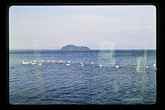 tanSF.D05-06_08()