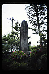 tanSF.D05-06_21()