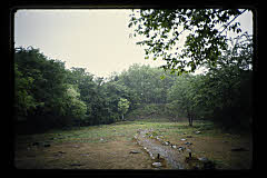 tanSF.D05-06_24()