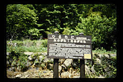 tanSF.D05-07_14()