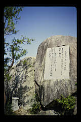 tanSF.D05-07_19()