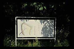 tanSF.D05-07_20()