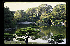 tanSF.D05-13_29()