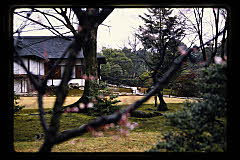 tanSF.D06-01_20()