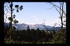 tanSF.D06-03_05()