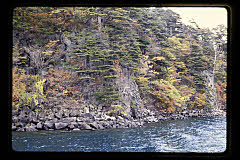 tanSF.D06-03_12()