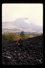 tanSF.D06-03_33()