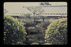 tanSF.D06-05_01()