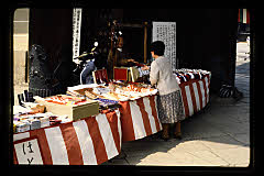 tanSF.D06-05_06()