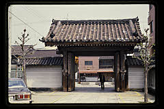 tanSF.D06-05_11()