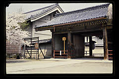 tanSF.D06-05_12()