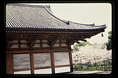 tanSF.D06-05_13()