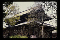 tanSF.D06-05_17()