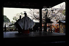 tanSF.D06-05_22()